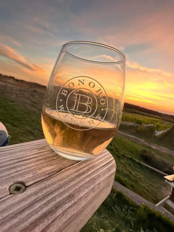 NON BUS Old Mission Peninsula GMC Yukon Private Sunset Wine / Distillery Tour - Image 5