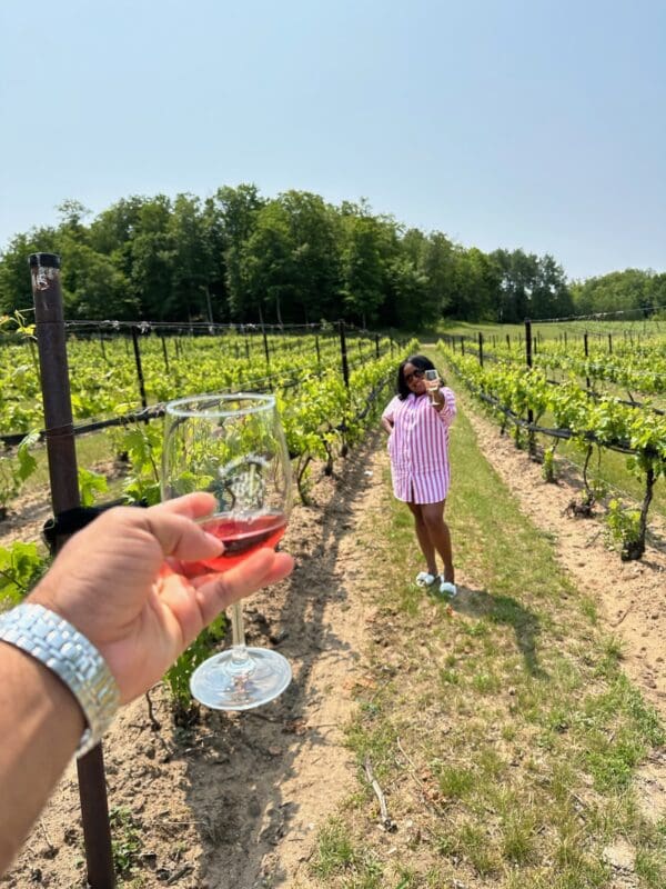 Andie's VIP Traverse City Leelanau Peninsula Wine Tour - Image 3